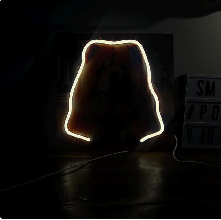 Custom Pet Memorial Neon light with UV portrait| personalized LED keepsake for pet lovers| Unique pet loss gift Made from Photo